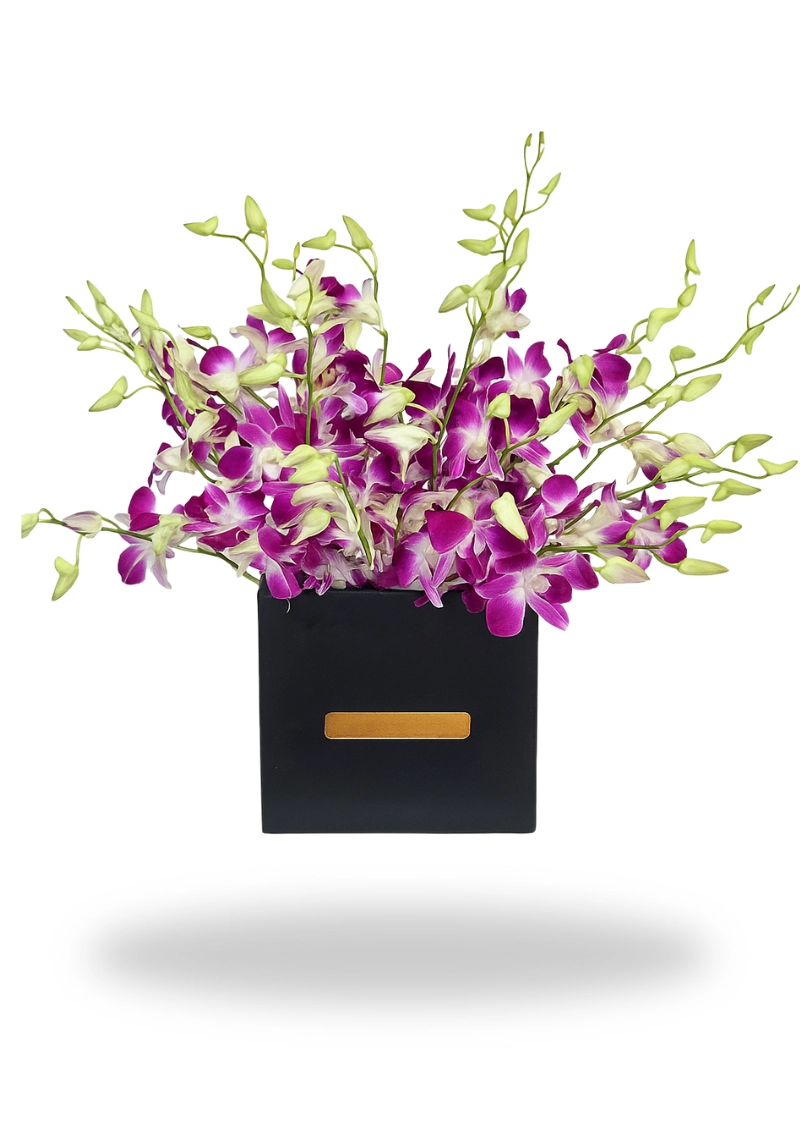 Purple Orchids In Box